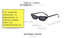 Load image into Gallery viewer, Retro 90's Small Cat Eye Sunglasses MariaKinz