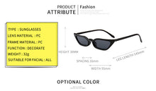Load image into Gallery viewer, Retro 90&#39;s Small Cat Eye Sunglasses MariaKinz

